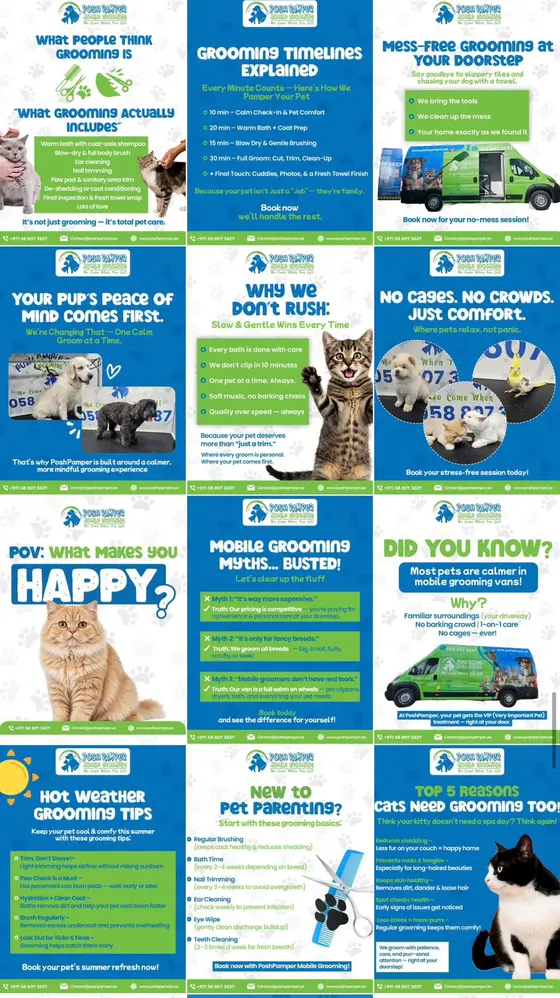 Instagram post designs for a mobile pet grooming service in the UAE by UpStream